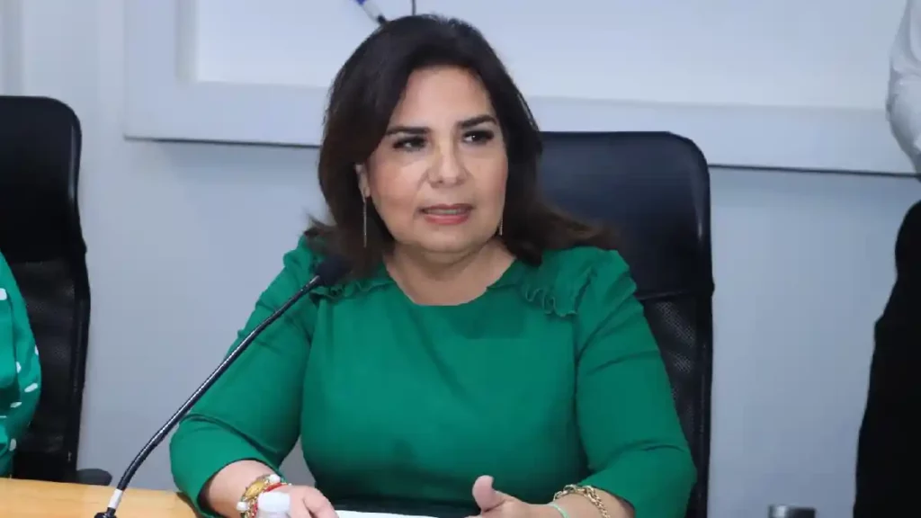 Secretaria de Medio Ambiente, Desarrollo Sustentable y Ordenamiento Territorial comparece en Comisión del Congreso