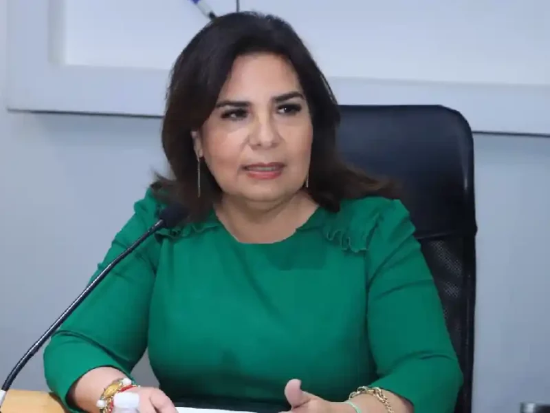 Secretaria de Medio Ambiente, Desarrollo Sustentable y Ordenamiento Territorial comparece en Comisión del Congreso