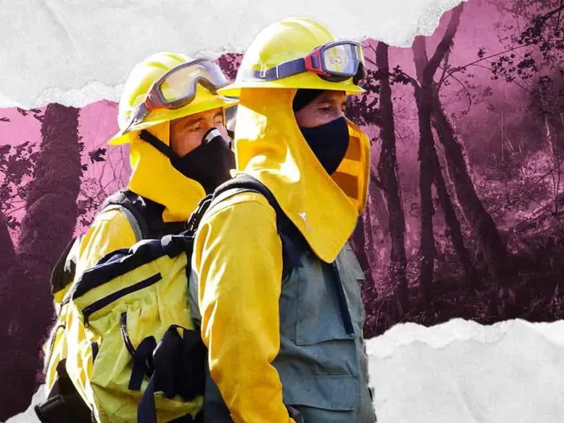Puebla tiene incendios forestales activos en Xiutetelco, Huauchinango y Zacatlán
