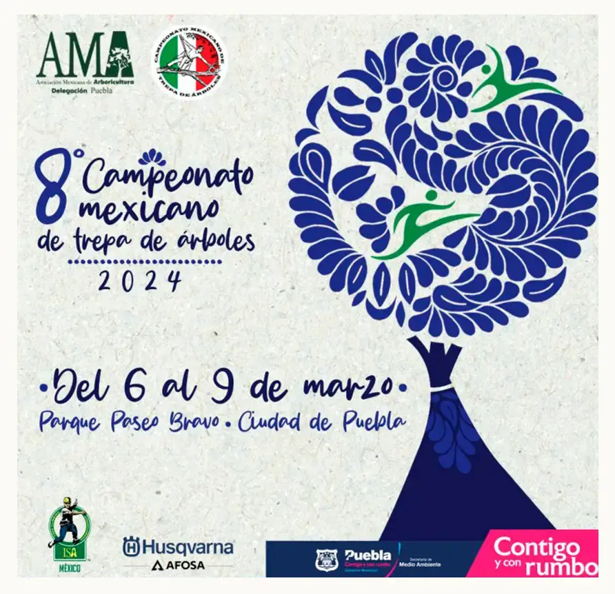 El 8° Campeonato Mexicano de Trepa de Árboles 2024 se llevará a cabo en Paseo Bravo