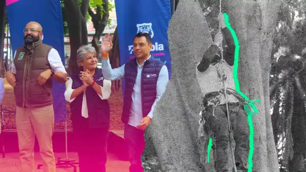 El 8° Campeonato Mexicano de Trepa de Árboles 2024 se llevará a cabo en Paseo Bravo
