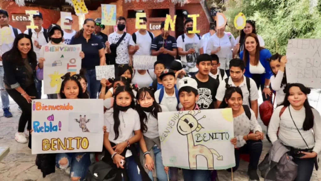 SMDIF promueve integración social de usuarios de ateción prioritaria con visita a Africam Safari