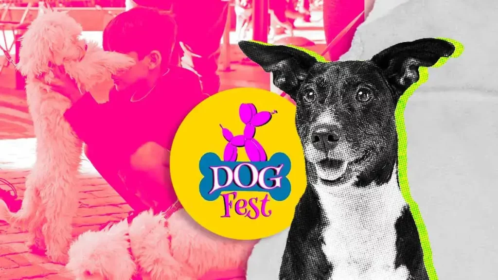 Llega a Puebla el Dog Fest 2024 con actividades y productos para tu mascota