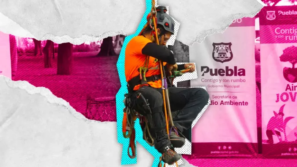 Adrián Ornelas participará en el 8° Campeonato Mexicano de Trepa de Árboles 2024