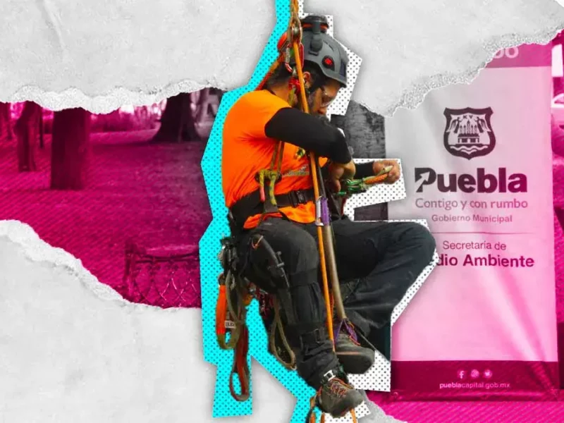 Adrián Ornelas participará en el 8° Campeonato Mexicano de Trepa de Árboles 2024