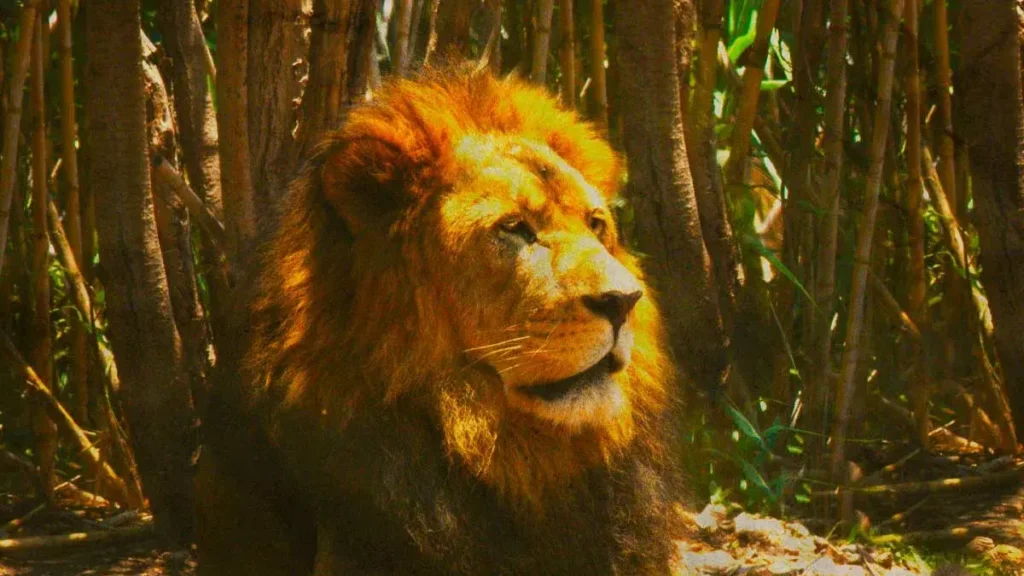 Africam Safari solicita personal, estos son los requisitos