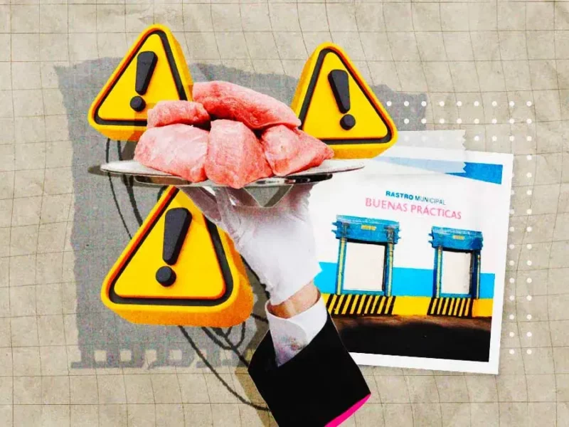 Rastro Municipal de Puebla alerta por muerte masiva de ganado y carne contaminada en Hidalgo