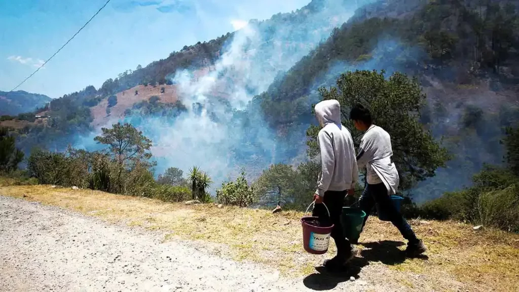 Por desconocimiento, pobladores de Ixtacamaxtitlán reavivan incendio forestal: Medio Ambiente Puebla