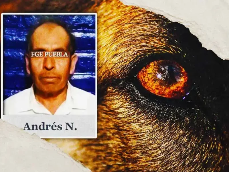 Andrés N. recibe tres años de prisión por matar a dos perros en Tehuacán