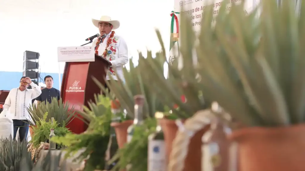En Tehuitzingo, Sergio Salomón inicia programa impulso al Agave Mezcalero 2024