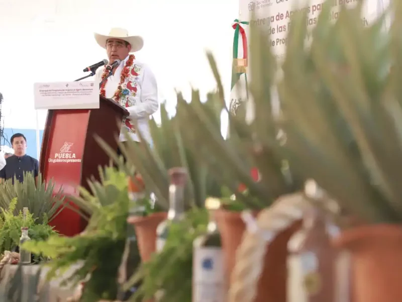 En Tehuitzingo, Sergio Salomón inicia programa impulso al Agave Mezcalero 2024