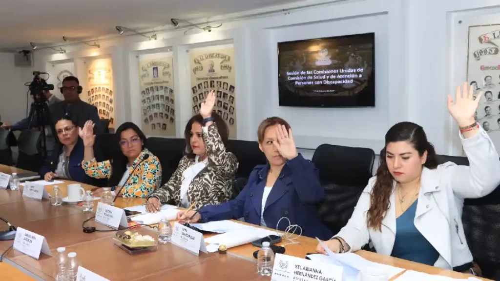 Presentan en Comisión del Congreso proyecto de Convocatoria para el proceso de consulta en materia de salud mental