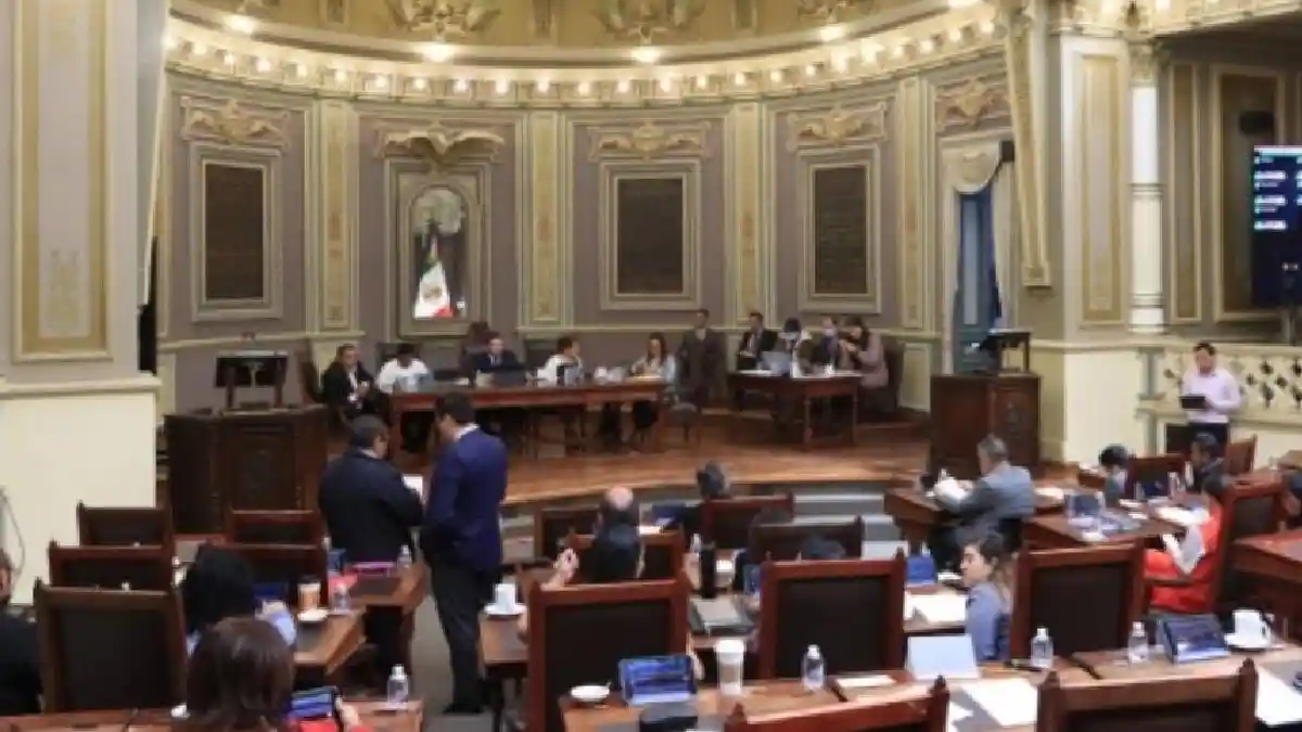 Congreso del Estado de Puebla tipifica la zoofilia; aprueba reformas en materia de bienestar animal
