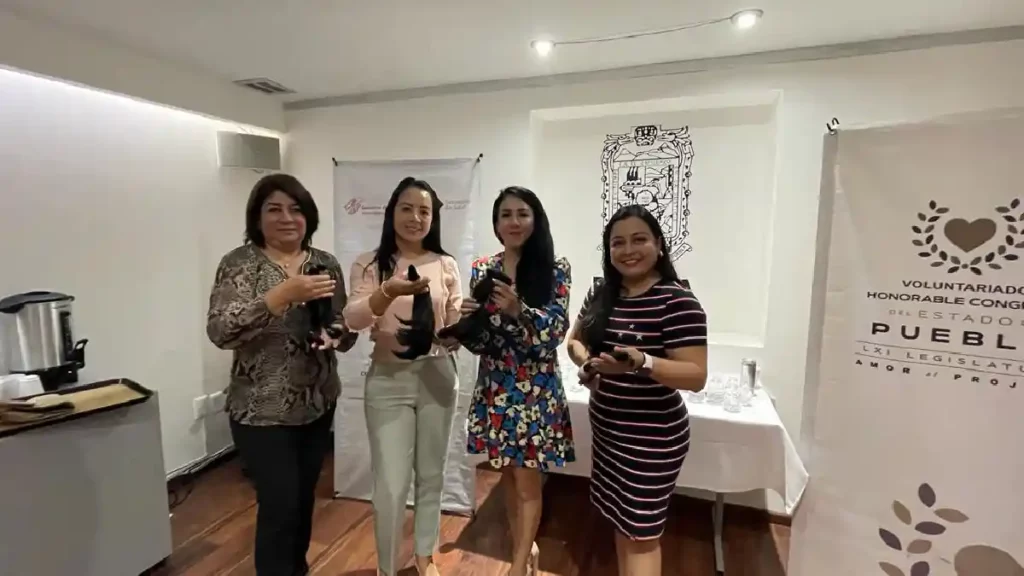 Recibe Voluntariado del Congreso del Estado donación de cabello para cortinas oncológicas