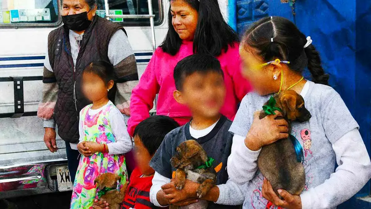 Así debes cuidar a tus mascotas ante la caída de ceniza en Atlixco