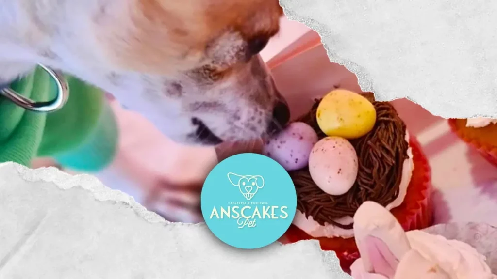 Anscakes organiza evento Pet Friendly para que tu mascota busque Huevos de Pascua