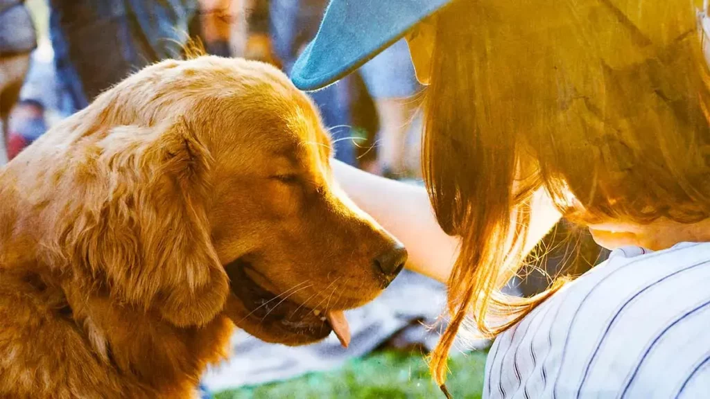 Acude a la edición 17 de la feria de la adopción de mascotas en Puebla