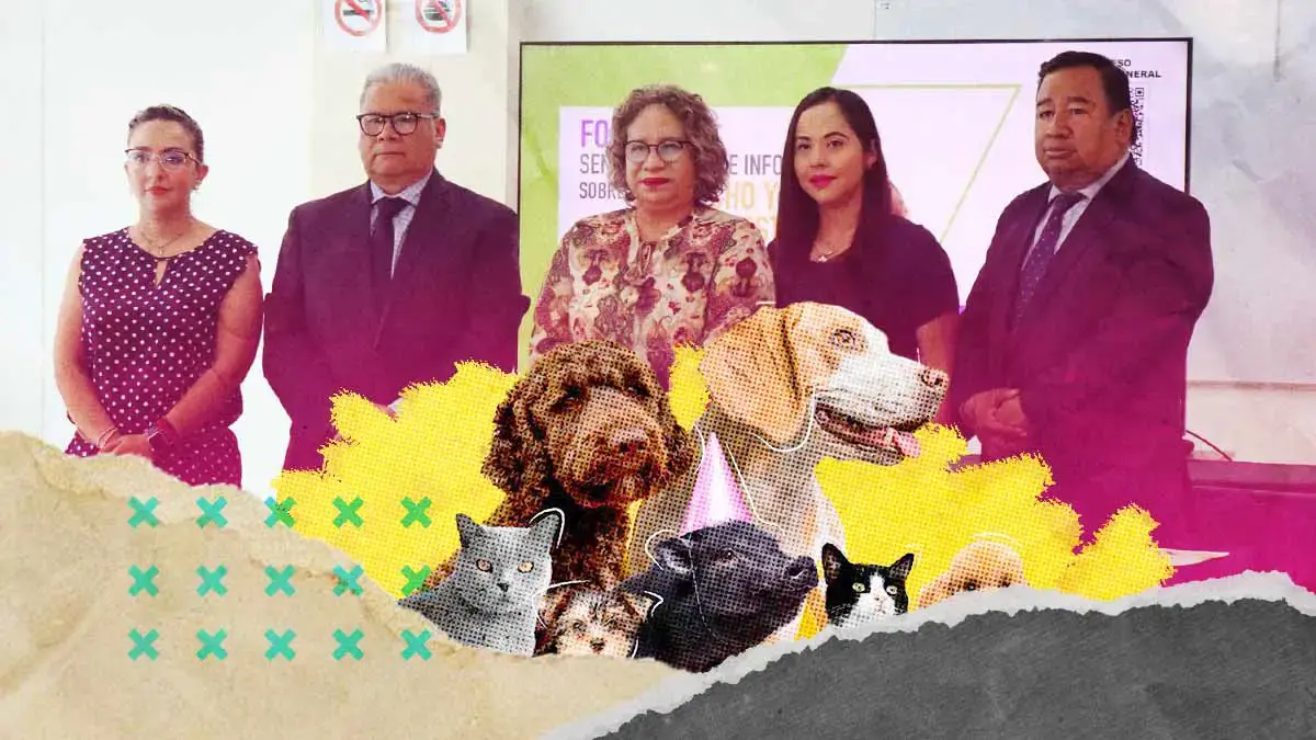 BUAP invita al Foro de sensibilización sobre el Derecho y Bienestar Animal