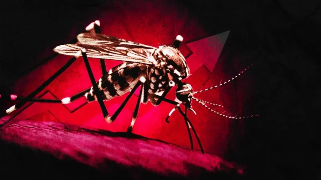 Casos de dengue en Puebla se triplicaron en el primer bimestre del 2024