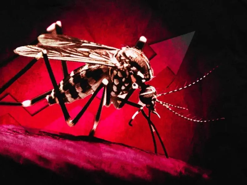 Casos de dengue en Puebla se triplicaron en el primer bimestre del 2024