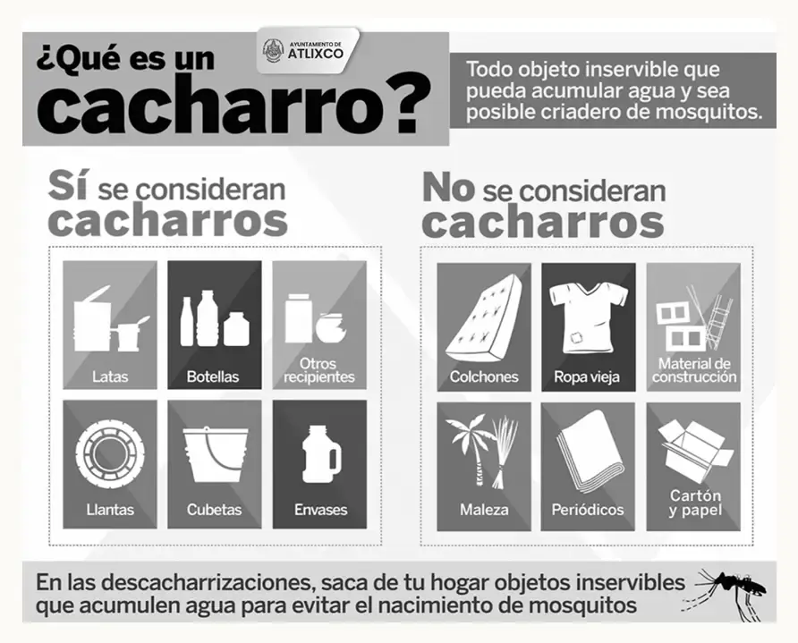 Conoce cuáles son los cacharros y juntos sumemos esfuerzos para prevenir la proliferación del dengue en Atlixco