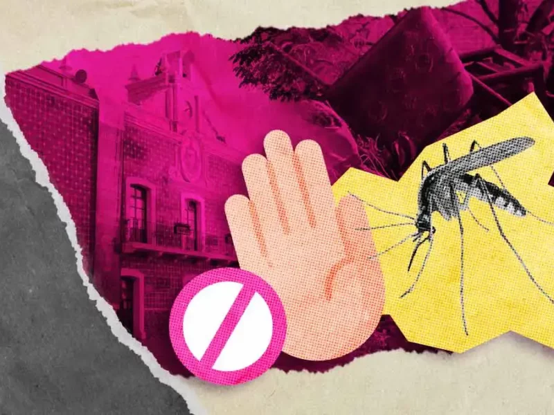 Conoce cuáles son los cacharros y juntos sumemos esfuerzos para prevenir la proliferación del dengue en Atlixco