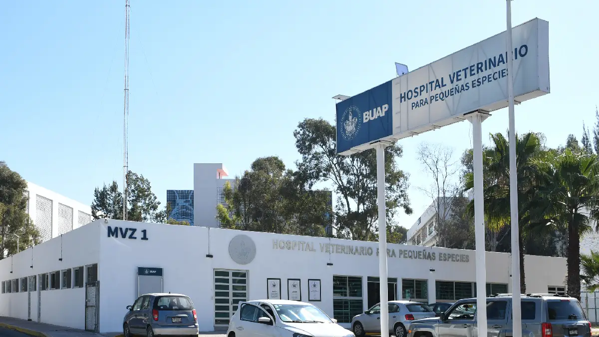 El Hospital Veterinario para Pequeñas Especies de la BUAP, semillero de egresados con experiencia y conocimientos especializados en la atención de mascotas