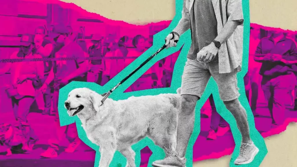 Inscríbete a la Caminata y Carrera perruna en Puebla; estos son los precios