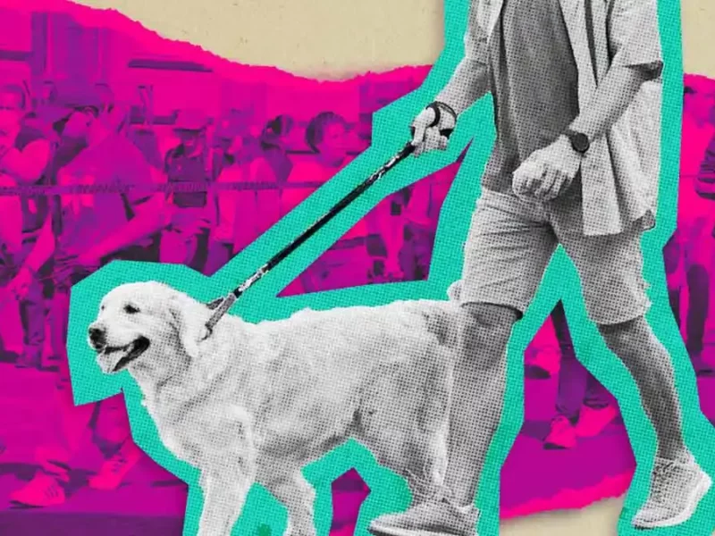 Inscríbete a la Caminata y Carrera perruna en Puebla; estos son los precios