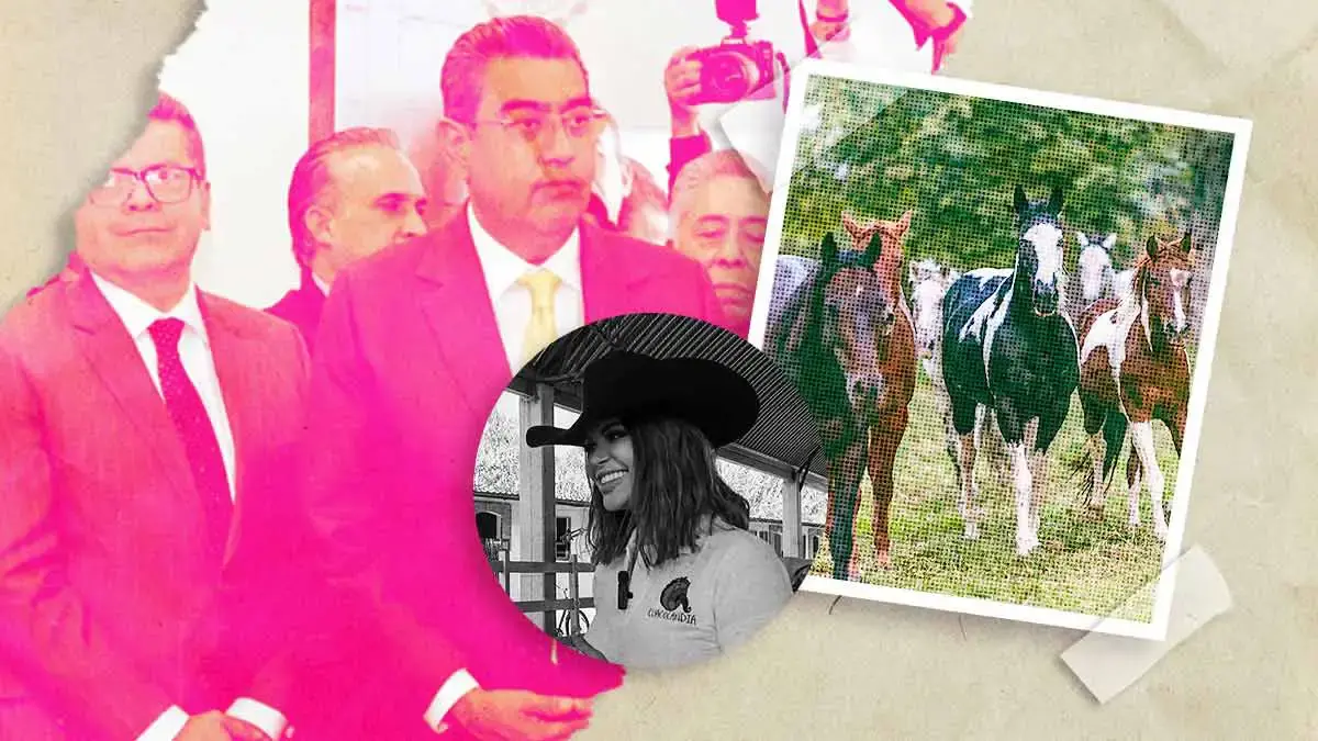 Gobierno de Puebla garantiza resguardo de ejemplares de Cuacolandia, tras muerte de Elena Larrea 