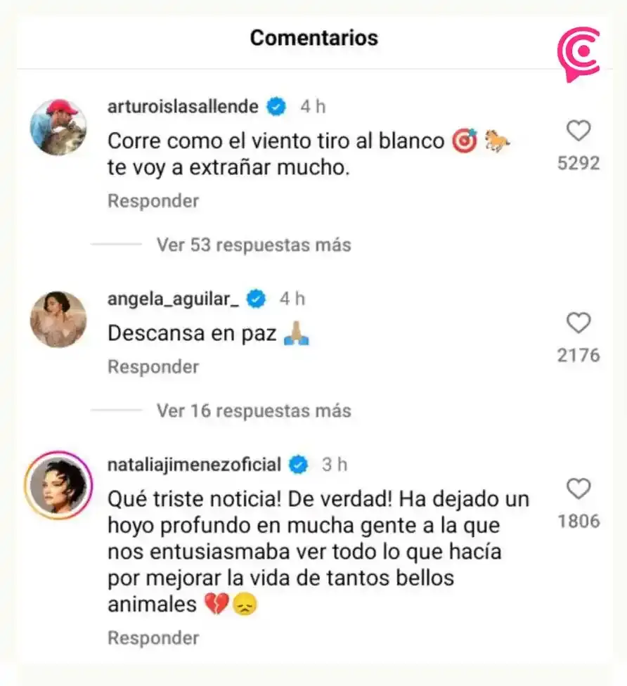 Gera MX, Regina Blandón y más artistas dan último adiós a Elena Larrea