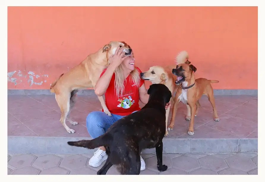 Mestizos sin Fronteras tiene más de 100 perros rescatados en Puebla; así puedes apoyarlos
