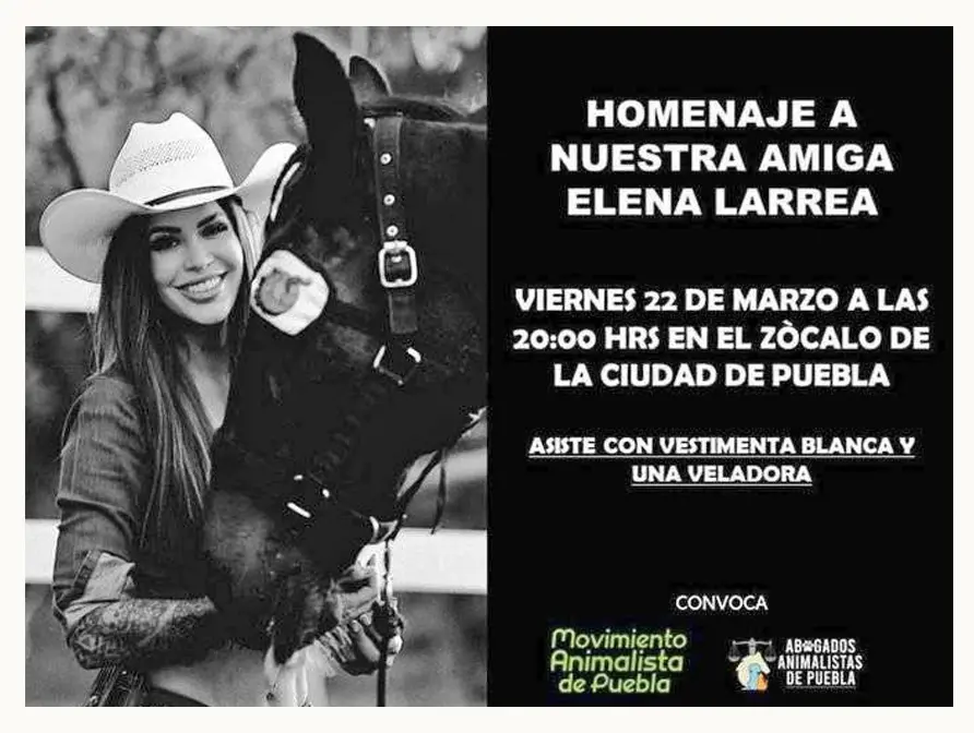 Así fue el funeral de Elena Larrea en Cuacolandia; sus caballos la despidieron  