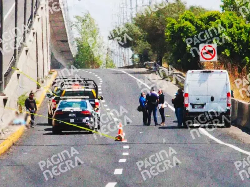Policías de Coronango recuperaron camión robado y mataron a ladrón en la autopista México-Puebla