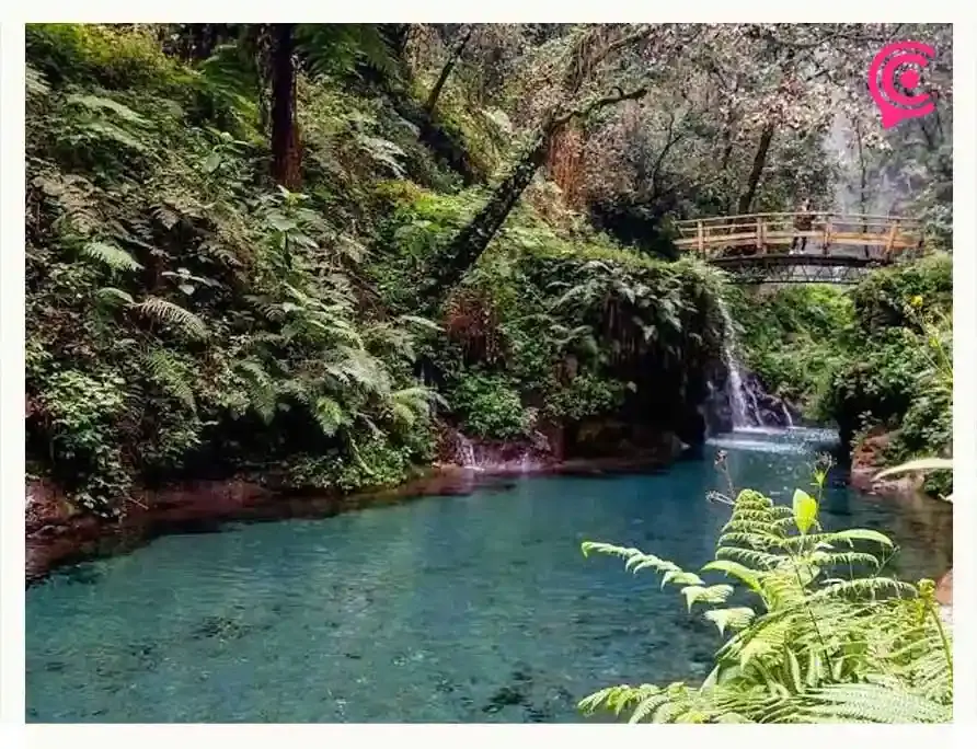 Refrescate en Semana Santa en alguno de estos balnearios poco conocidos en Puebla