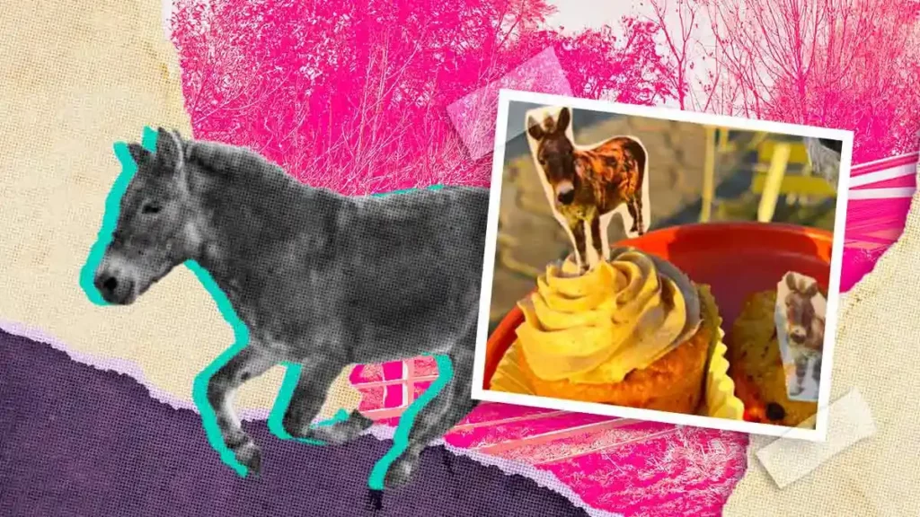 Ponen a la venta cupcake de Igor, el burrito más famoso de Cuacolandia