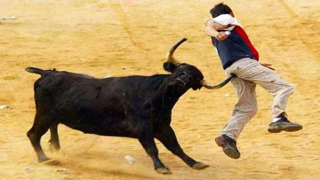 Teziutlán se convierte en el tercer municipio de Puebla en prohibir las corridas de toros  