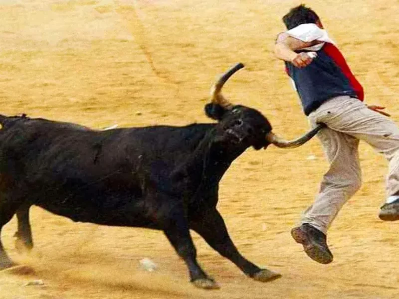 Teziutlán se convierte en el tercer municipio de Puebla en prohibir las corridas de toros  
