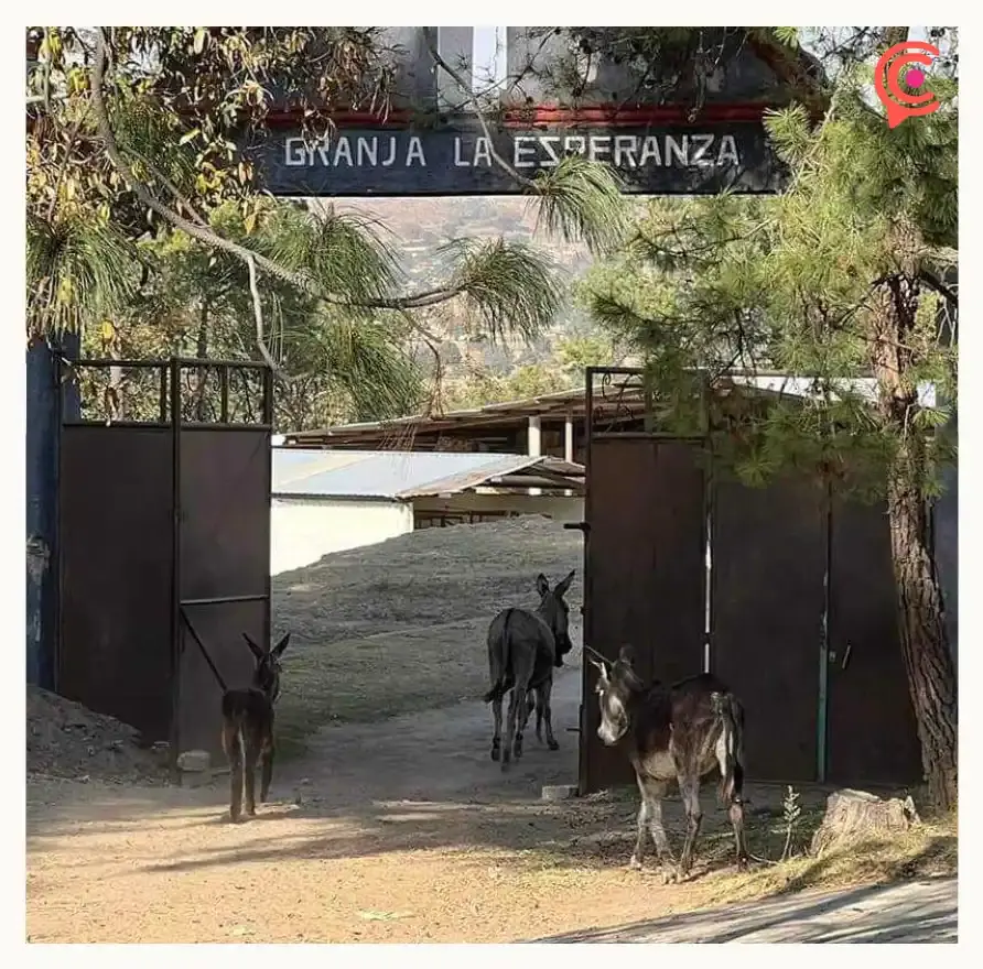 Lugares para visitar en Puebla durante la primera semana de abril