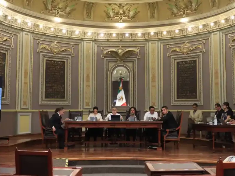Proponen en el Congreso sancionar cambio de uso de suelo en terrenos forestales sin autorización