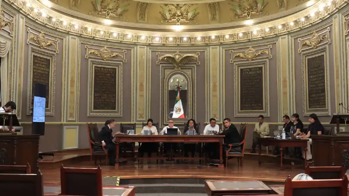 Proponen en el Congreso sancionar cambio de uso de suelo en terrenos forestales sin autorización