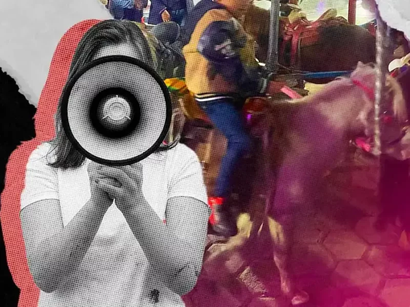Torturan a ponis en San Salvador el Verde, autoridades de Puebla ignoran los reportes