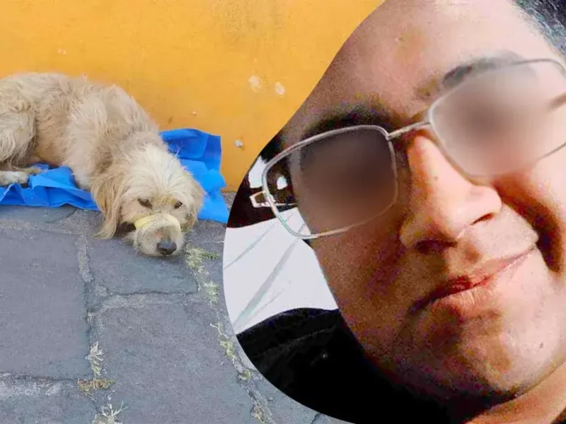 Denuncian a sujeto que atropelló intencionalmente a perro en Puebla, se dijo “amigo de peritos”