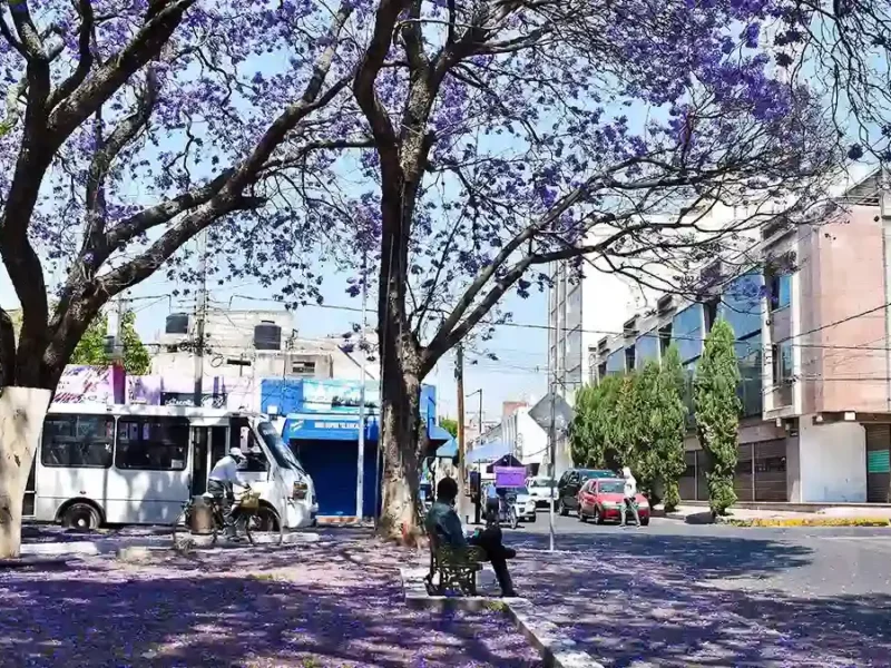 Así estará el clima en Puebla este miércoles 3 de abril de 2024
