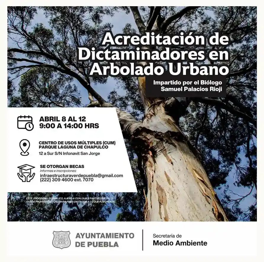 Ayuntamiento de Puebla invita a la capacitación de dictaminación de arbolado urbano