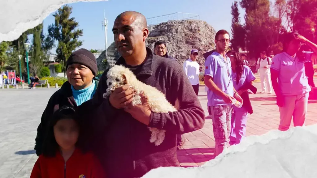 Checa estas campañas de esterilización para mascotas que habrá en abril en Puebla