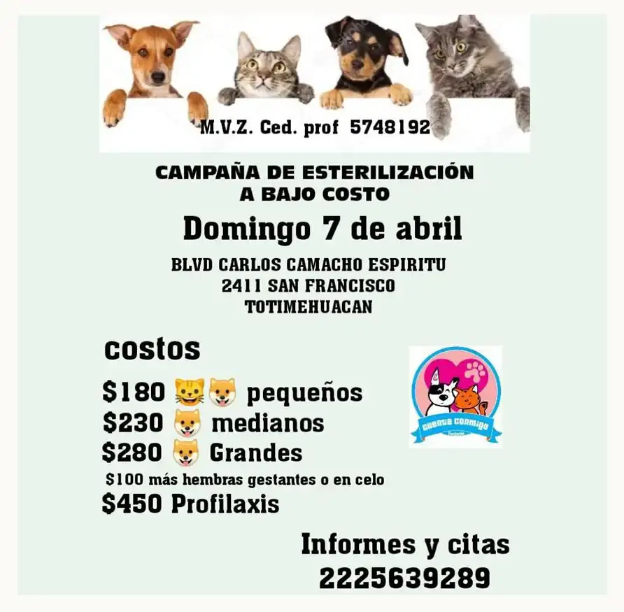 Checa estas campañas de esterilización para mascotas que habrá en abril en Puebla