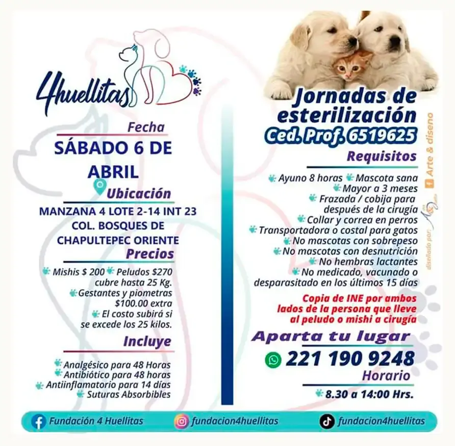 Checa estas campañas de esterilización para mascotas que habrá en abril en Puebla