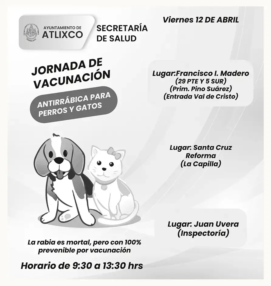 Continúa vacunación antirrábica por colonias y comunidades de Atlixco
