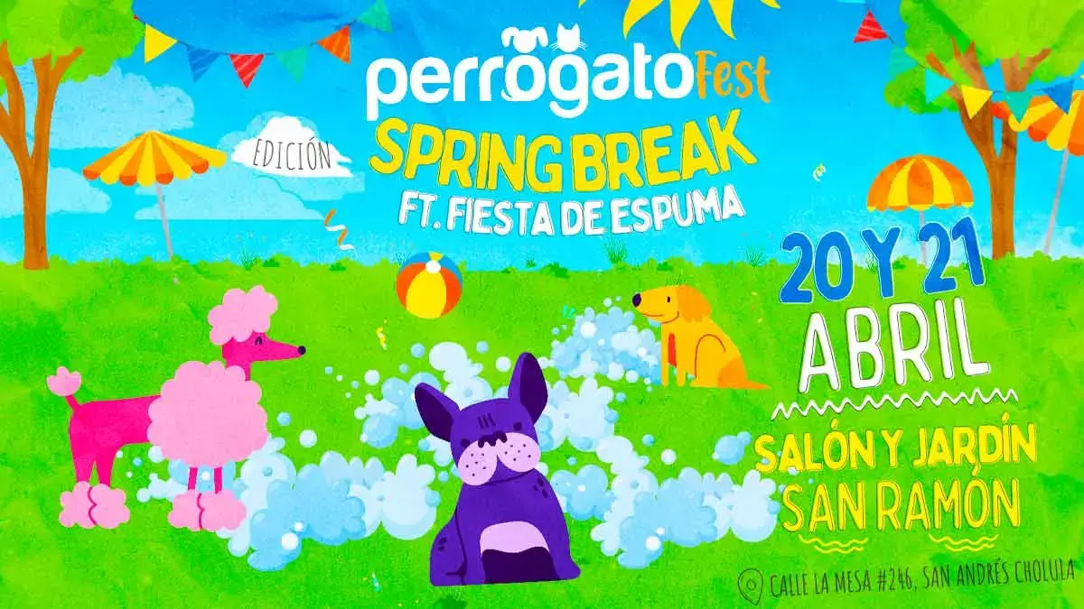 Disfruta un fin de semana de pelos en el Perrogato Fest 2024